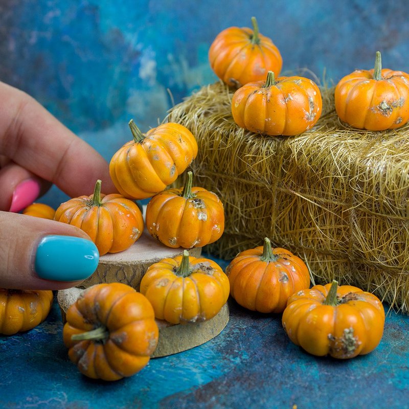 Tutorial miniature dirty pumpkins polymer clay | Digital product | PDF + video - 線上教學/教學影片 - 其他材質 