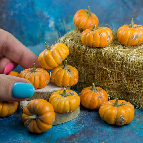 Rina Vellichor Miniatures Tutorial miniature dirty pumpkins polymer clay | Digital product | PDF + video