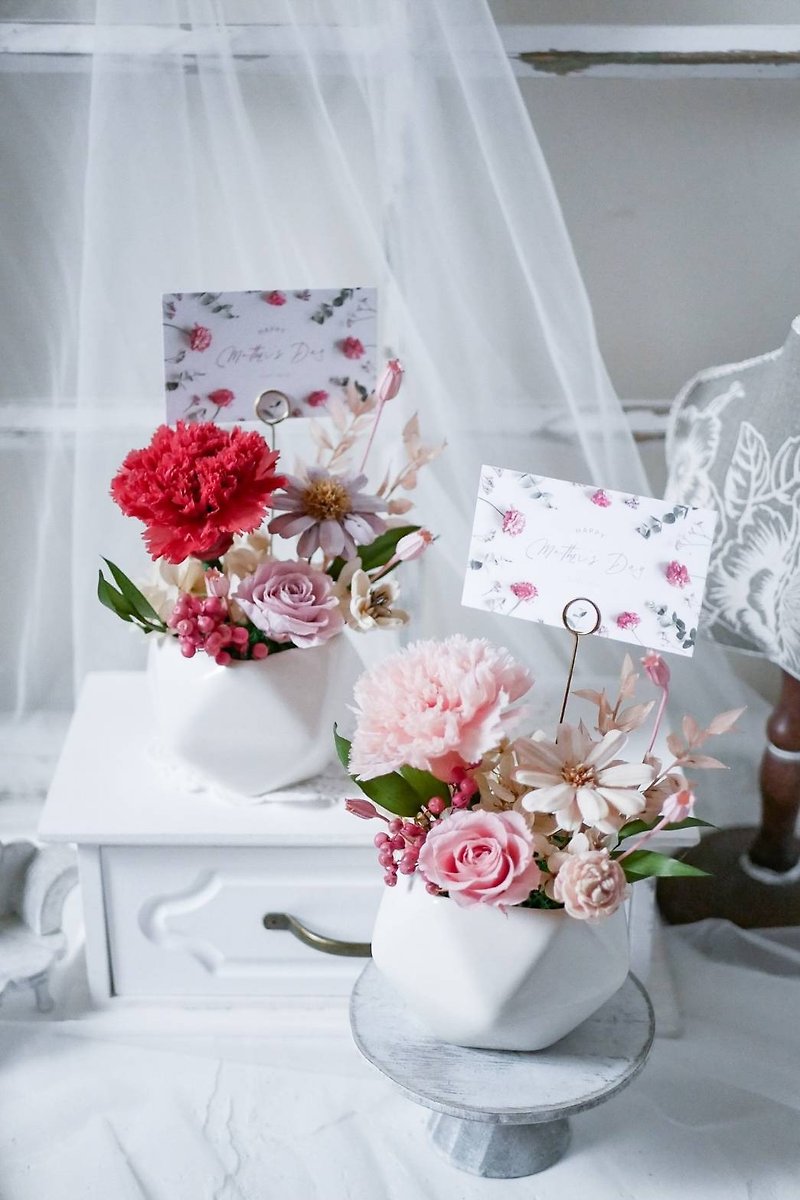 Mother's Day Flower Gift/Carnation Classic Small Table Flower - ของวางตกแต่ง - พืช/ดอกไม้ 