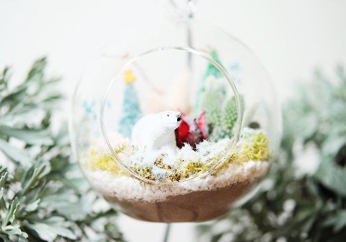 仰式漂浮 Daydream Crafts Christmas Dream 聖誕小行星-多肉乾燥花玻璃球DIY材料包