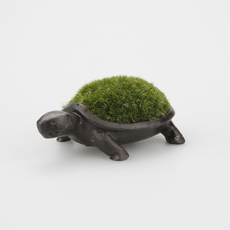 Longevity turtle planting pot - ของวางตกแต่ง - โลหะ สีนำ้ตาล