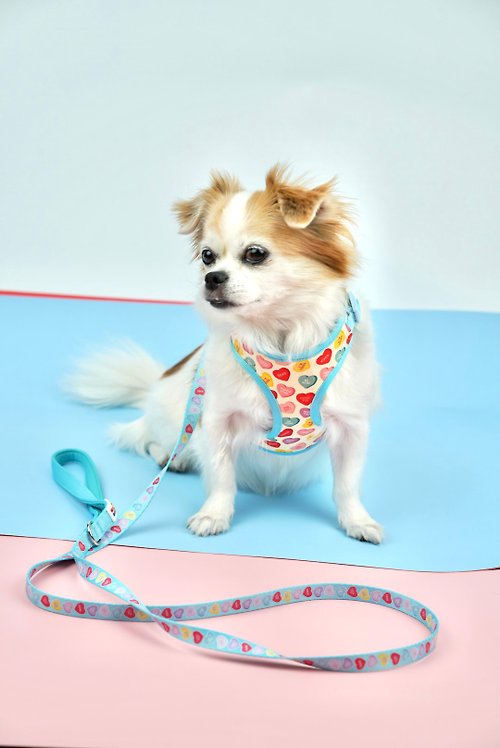 happybuddy MY BOO harness and leash set (We-Day23 Collection)