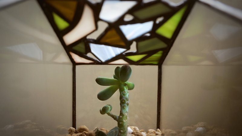 ライトルーム - 多肉植物のガラス象嵌を施した横長の花室 - 観葉植物 - ガラス グリーン