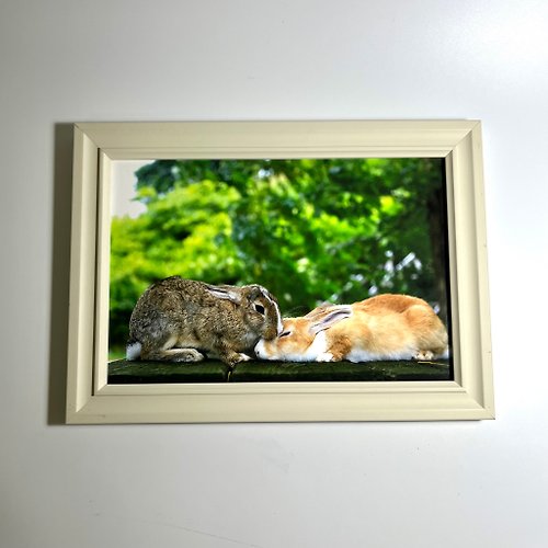 Friend Rabbit 友愛兔 兔子攝影藝術微噴作品 - 親親 & 象牙白古典裱框