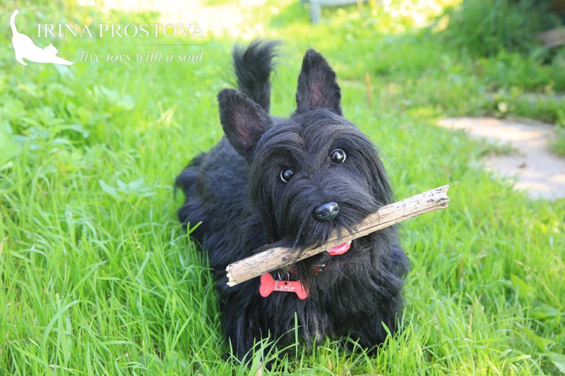 Scottish Terrier realistic plush toy - 公仔/玩偶 - 其他材質 黑色