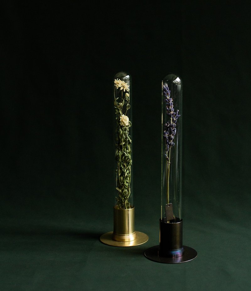 日本PICUS 試管植物標本 - 擺飾/家飾品 - 銅/黃銅 金色