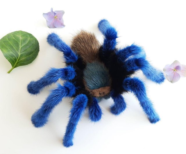 blue toy spider