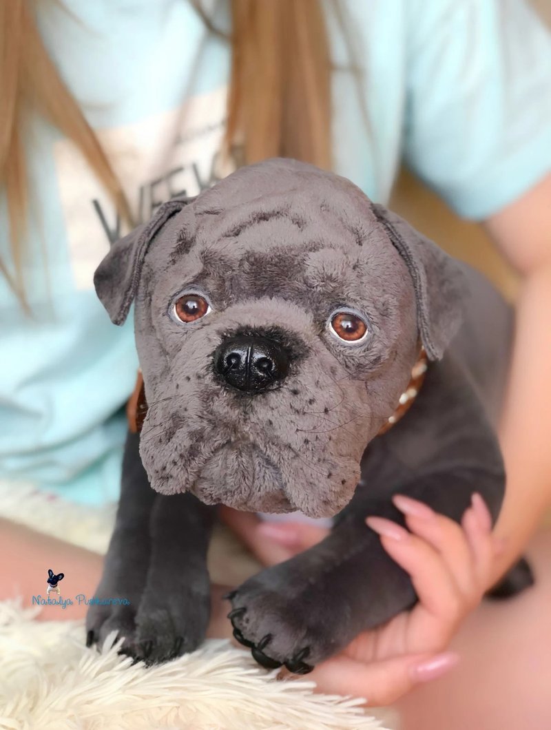 灰色 Cane Corso 狗逼真的毛绒玩具 - 公仔/玩偶 - 聚酯纖維 灰色