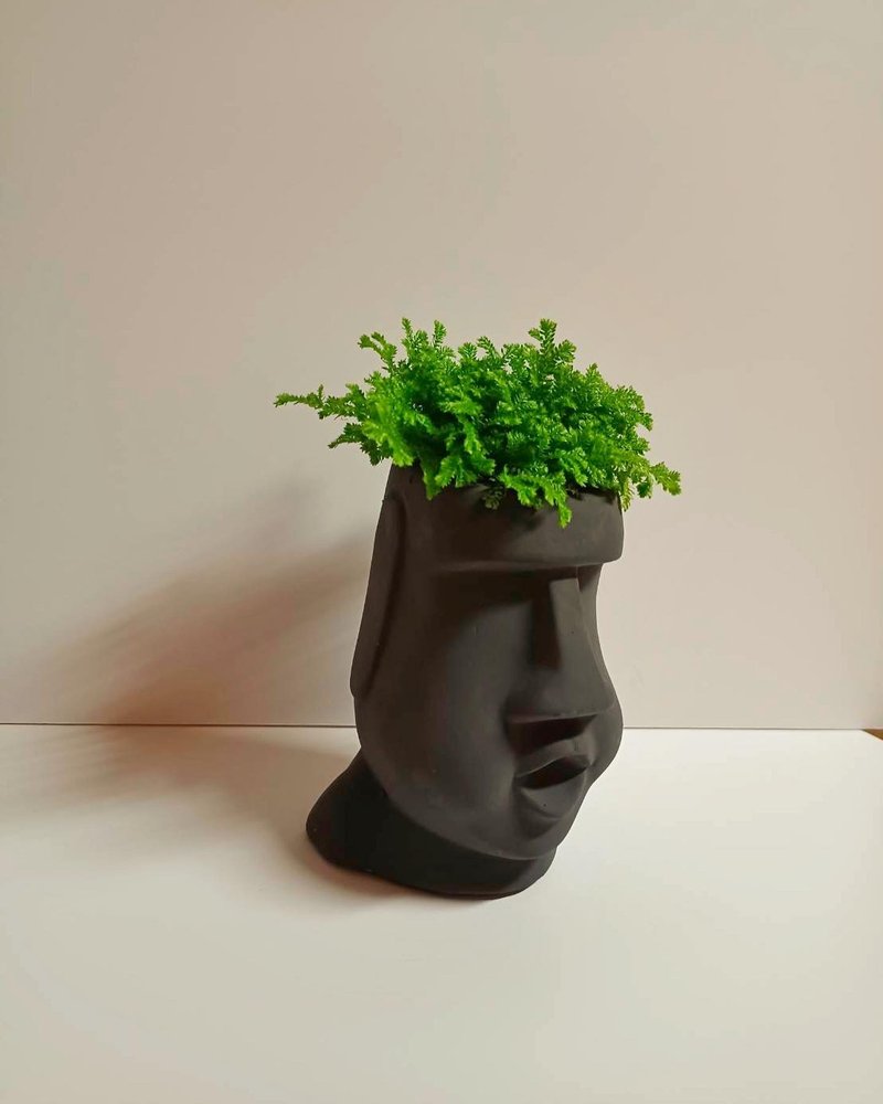 【人氣摩艾石像】蕾絲捲柏 桌上型 送禮自用 辦公室擺設 - 盆栽/植栽 - 水泥 