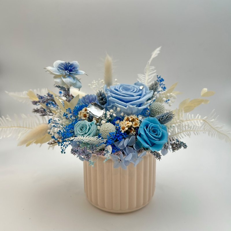 永生玫瑰盆花 白沙海岸 | 情人送禮 生日首選 | 台北可自取 - 乾燥花/永生花 - 植物．花 藍色