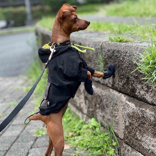 pegion-dog 【HAINU】DRAWSTRING RAINCOAT - BLACK