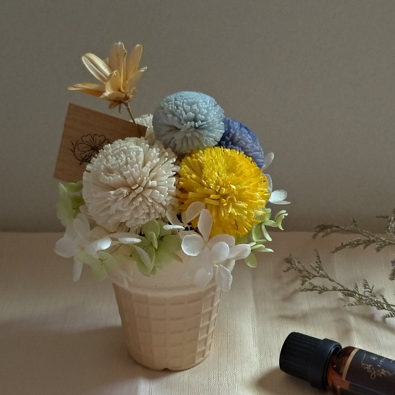 【趴噗】索拉花(擴香花)桌花│永生花(不凋花)│乾燥花 - 乾燥花/永生花 - 植物．花 多色