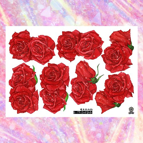 D.B.L *Melo Rose Stickers (7colors)