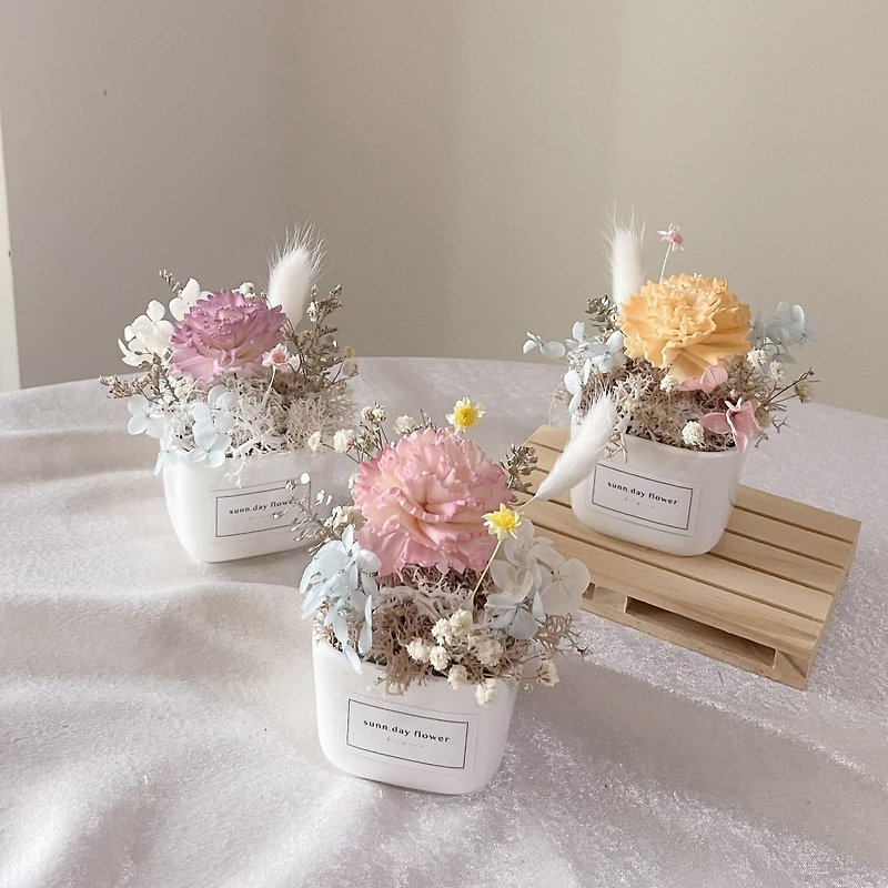 [Small Potted Flowers for Diffusing Flowers] Birthday Gifts for Office Souvenirs, Multiple Colors to Choose from, Customized Permanent Flowers for Diffusing Flowers - ช่อดอกไม้แห้ง - พืช/ดอกไม้ 