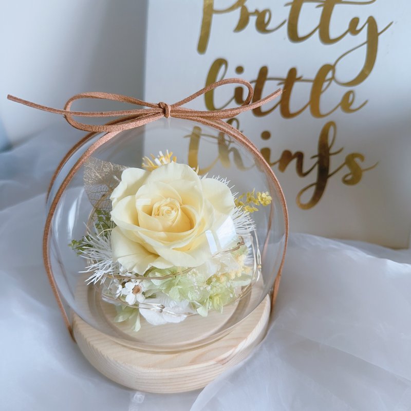 奶油晨光 永生玫瑰玻璃盅 永生花鍾罩 生日 告白 紀念日 聖誕節 - 乾燥花/永生花 - 植物．花 黃色