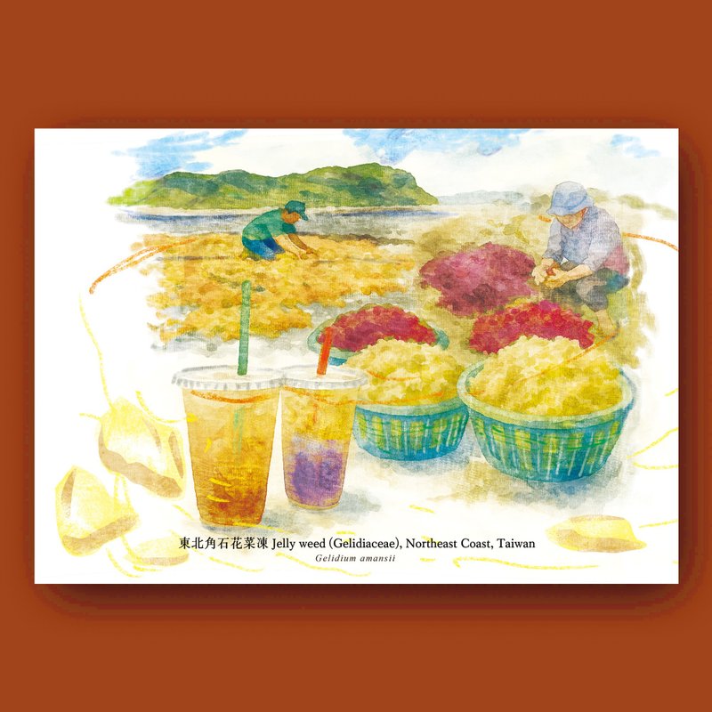 台灣小吃明信片 - 卡片/明信片 - 紙 多色
