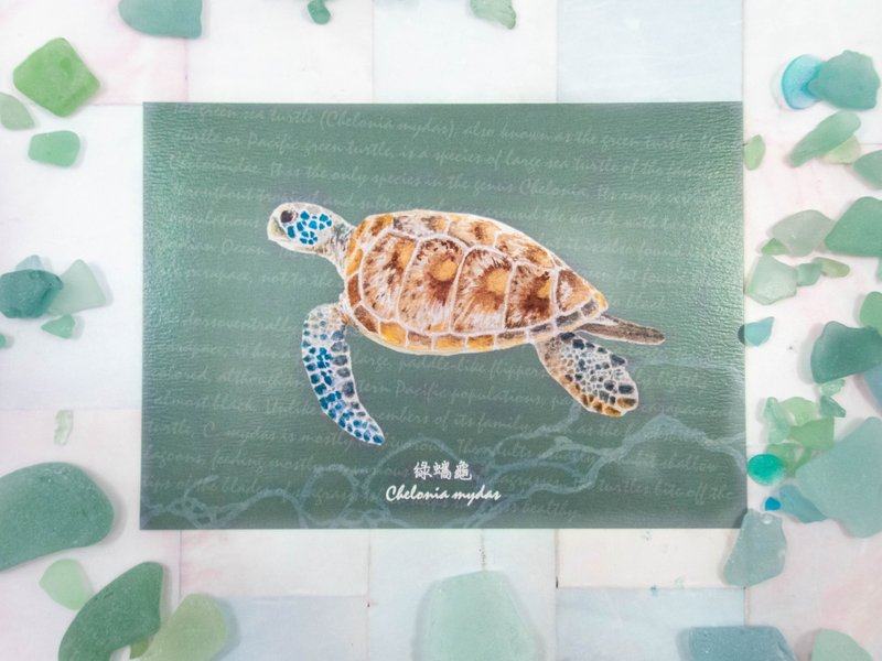 水彩綠蠵龜插畫明信片 海龜明信片 - 卡片/明信片 - 紙 綠色