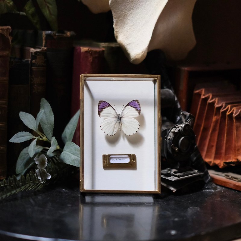 Unique and rare color | Purple-sleeved white butterfly_Butterfly specimen - Picture Frames - Glass Multicolor