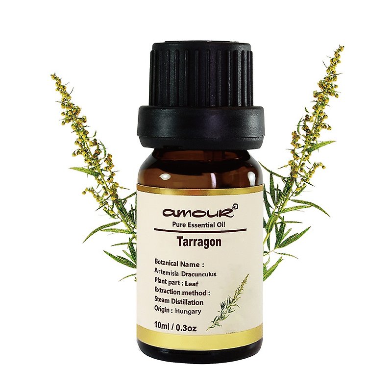 Tarragon Essential Oil 10ml - Fragrances - Essential Oils Gold