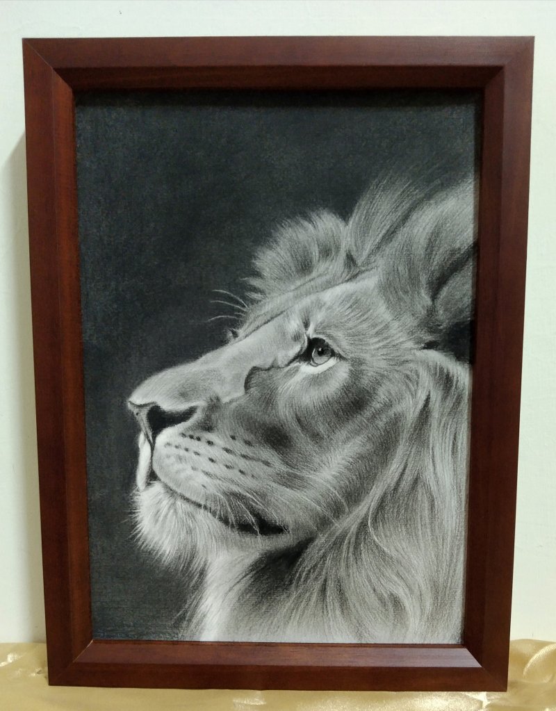 Decor / Lion / Charcoal Pencil Drawing / Original Artwork / Framed - โปสเตอร์ - กระดาษ 