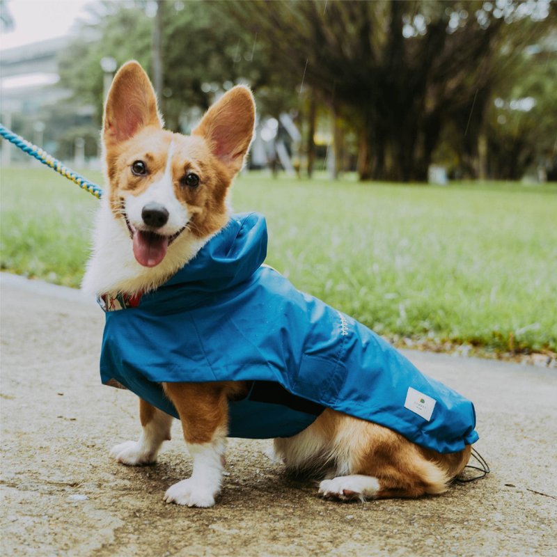 SPACE A Global Waterproof Quick-Wear Jacket - Interstellar Blue - ชุดสัตว์เลี้ยง - เส้นใยสังเคราะห์ 