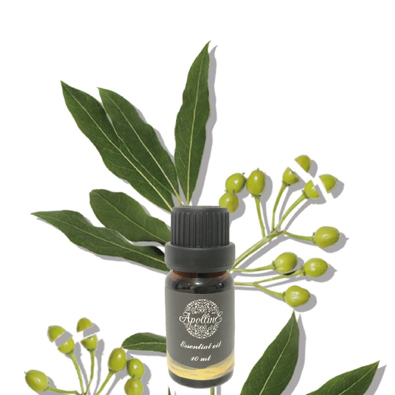 馬告/山雞椒精油 LITSEA CUBEBA - 香薰/精油/線香 - 精油 