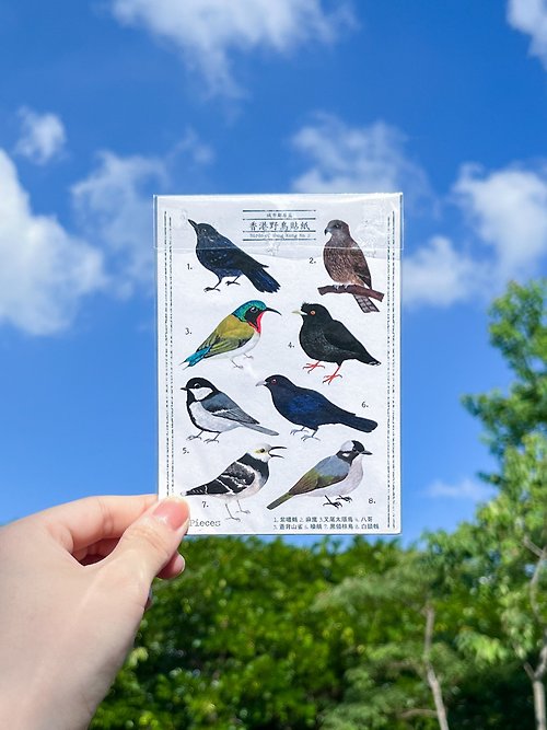 園丁鳥 bowerbird 香港城市野鳥圖鑑 第二集 透明和紙貼紙