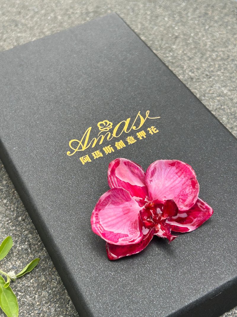 蝴蝶蘭胸針/真花飾品/蘭花飾品 - 胸針 - 植物．花 