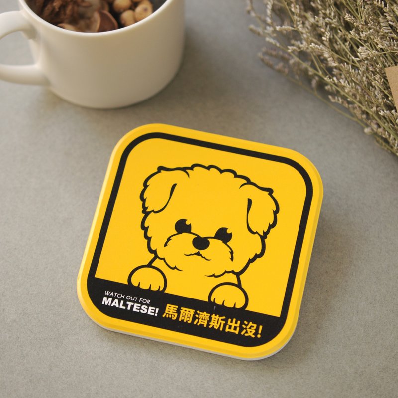 [Cute Dogs Haunted] Absorbent Coasters - Maltese | 19 species in total | All dog breeds to pet - ที่รองแก้ว - ดินเผา สีเหลือง