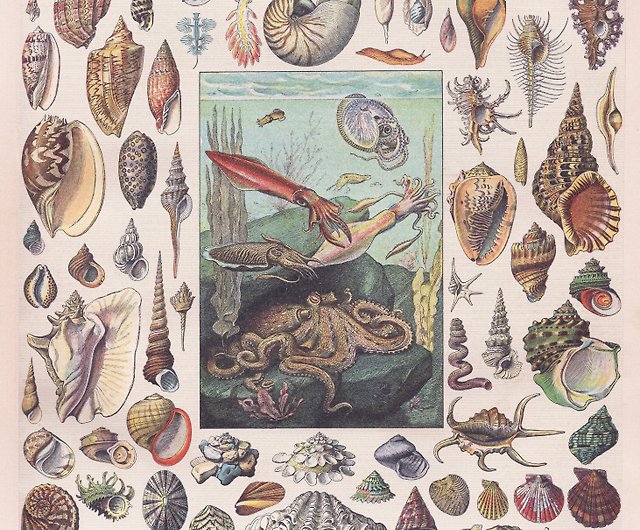 6つのフランスの1860年のアンティーク百科事典ポスターのフルセット