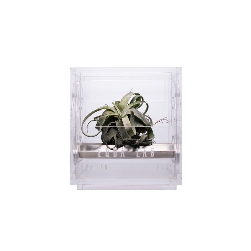 EQUALAB MFNVBOX 多功能自然景觀箱 空氣鳳梨模組 for Tillandsia - 植栽/盆栽 - 其他材質 透明