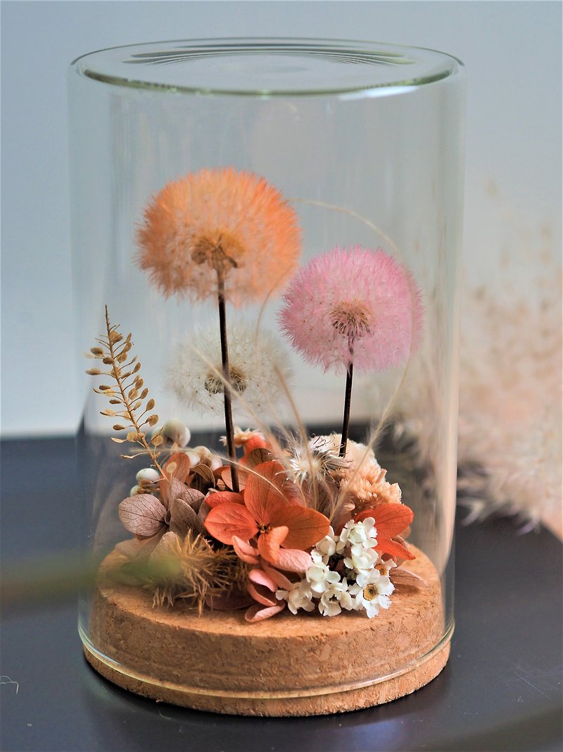 Garden wildflowers sunset forest without withering dandelion dandelion dry flower dry flower cup - Dried Flowers & Bouquets - Plants & Flowers Orange