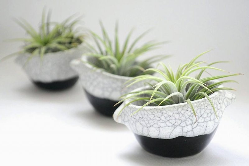 Black and white Ceramic Plant Pots, Set of three - Plants - Pottery White