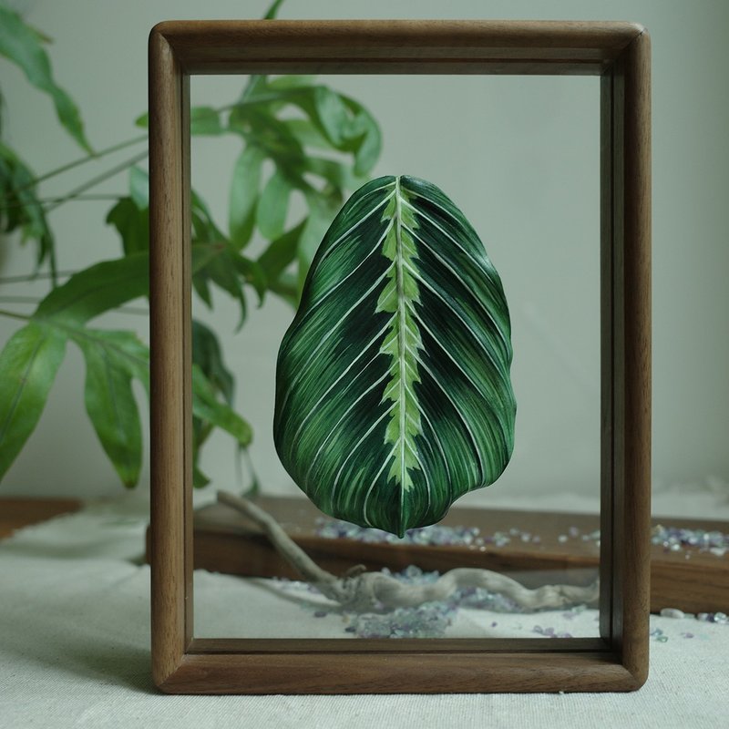 透明系相框 - 綠豹紋竹芋 Maranta leuconuera var massangeana - 擺飾/家飾品 - 真皮 綠色