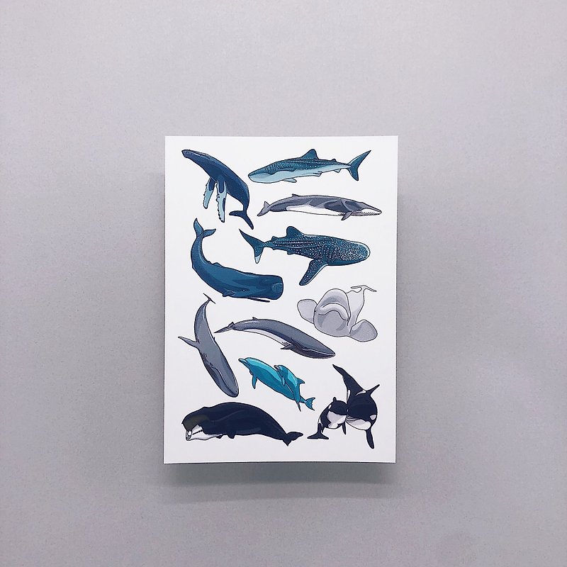 Whale Illustrated Book∣Postcard - การ์ด/โปสการ์ด - กระดาษ หลากหลายสี