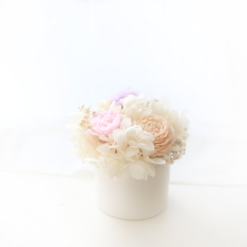 Tea Party White Cream Cake Flower Elegant Powder Permanent Carnation Flower - ช่อดอกไม้แห้ง - พืช/ดอกไม้ สึชมพู