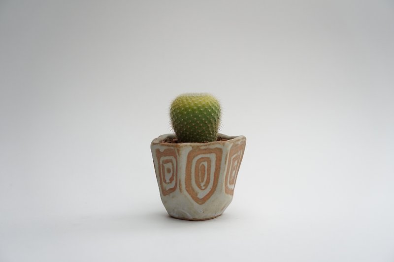 Small ceramic plant pot for cactus , handmade pottery , small pot - 植物/盆栽/盆景 - 陶 卡其色