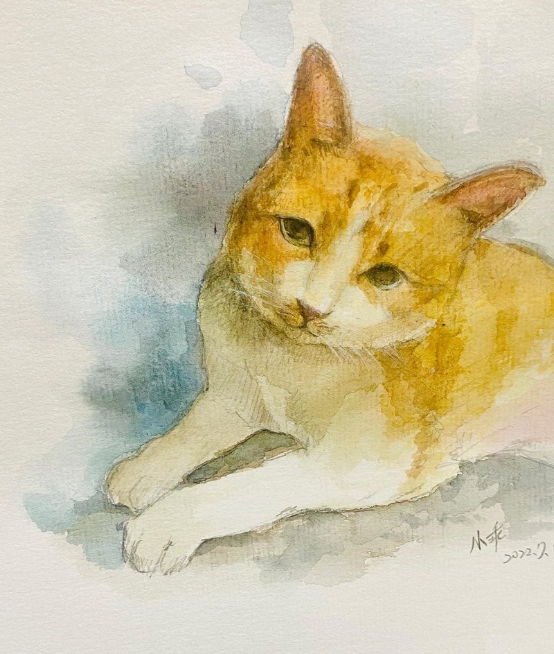 pet portrait - Other - Paper 