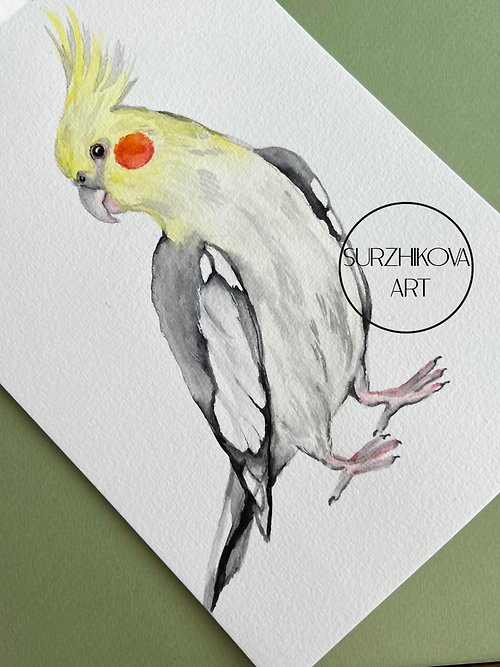 Surzhikova ART 可爱的鸡冠鹦鹉的原创水彩画6x8英寸