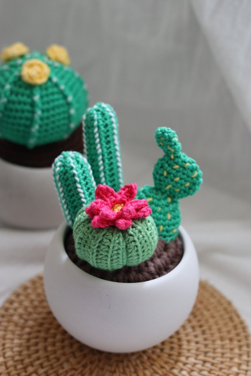 Cactus succulent combination potted plant - ตกแต่งต้นไม้ - ผ้าฝ้าย/ผ้าลินิน 