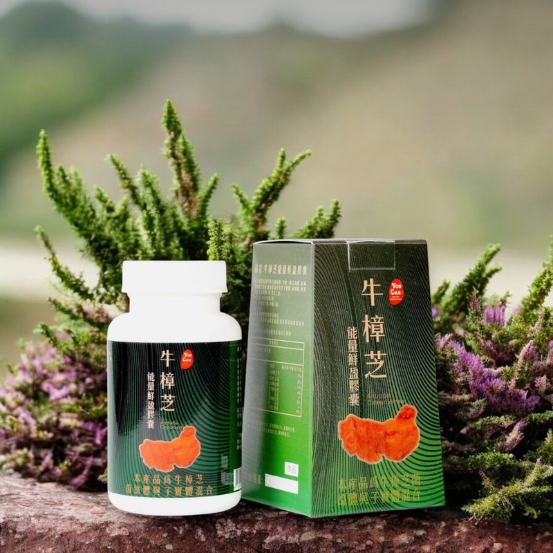 使用四年份牛樟芝萃取液填充的牛樟芝能量鮮盈膠囊 30粒/盒 - 養生/保健食品/飲品 - 紙 綠色