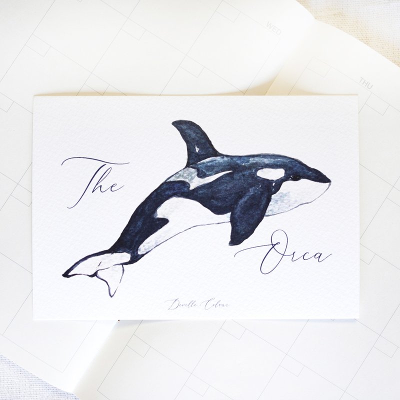 【鯨歸何處 - Orca 虎鯨】 明信片 - 卡片/明信片 - 紙 藍色