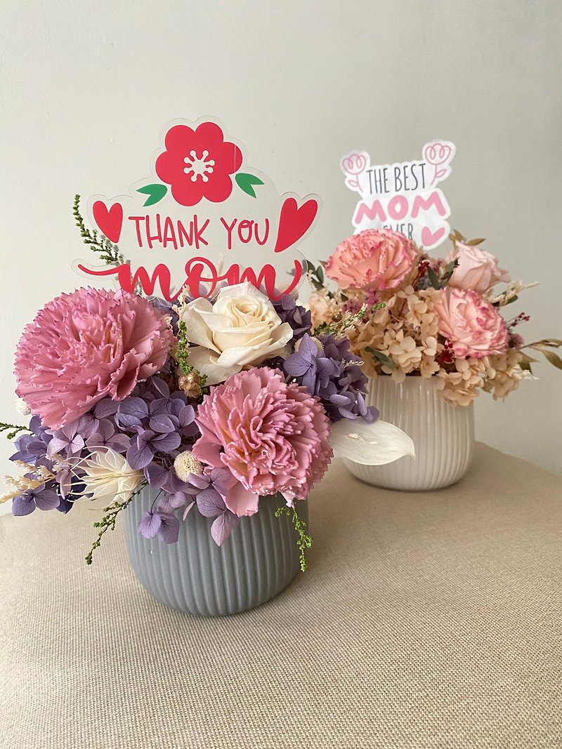 Mother's Day flower gift. Mother's Day gift. Carnation potted flower. Gift. Carnation. Preserved flower. Dried flower. - Dried Flowers & Bouquets - Plants & Flowers Multicolor