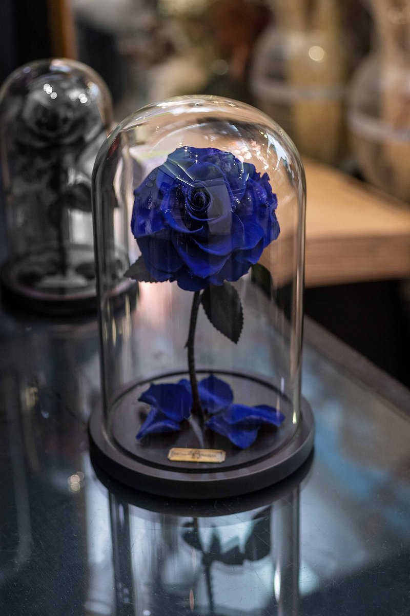 Valentine's Day Flower Gift/Beauty and the Beast Immortal Flower Luxurious Sapphire S/M/L - Dried Flowers & Bouquets - Plants & Flowers Blue