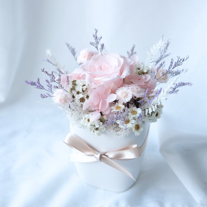 [Small potted flowers] potted plants/pink/without flowers/immortal flowers/dry flowers/Chinese Valentine’s Day/Valentine’s Day - Plants - Plants & Flowers Pink