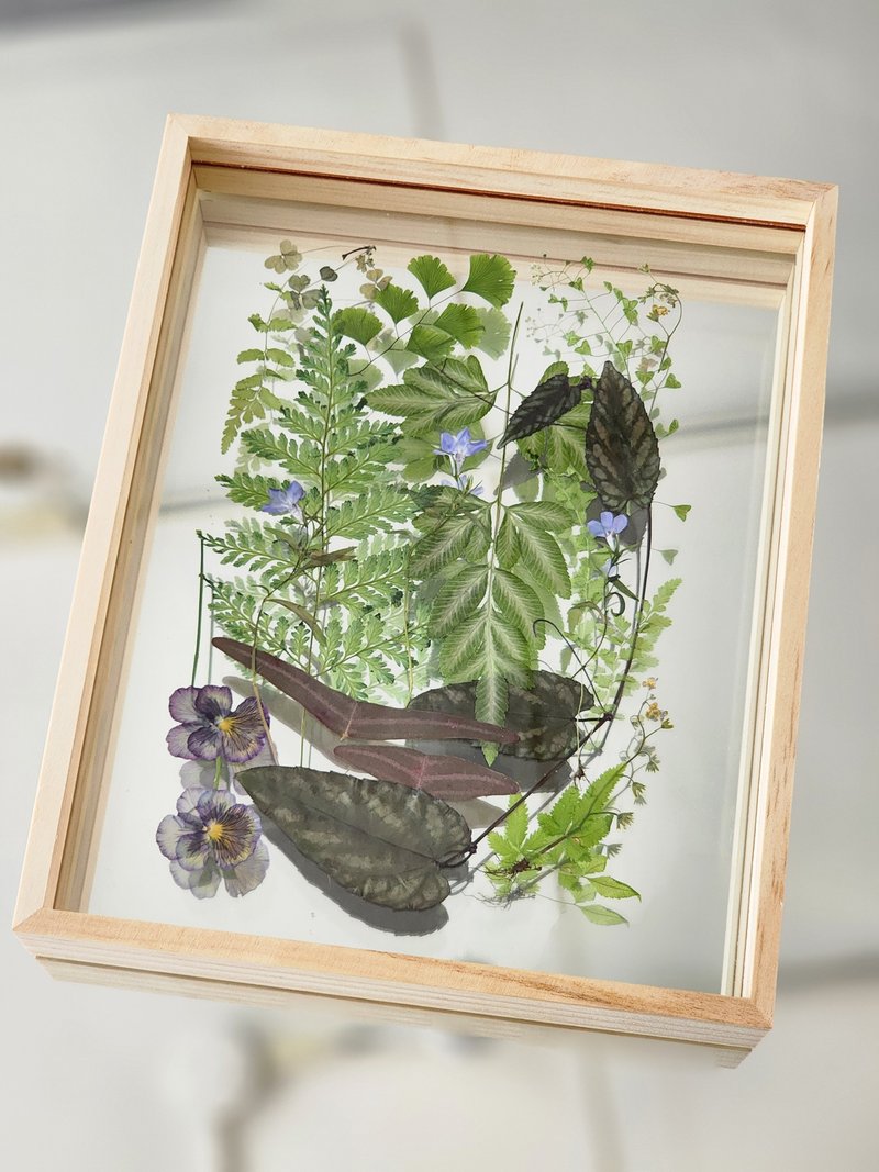 實木花框∣觀葉植物花園∣花草標本∣母親節加贈插畫小卡 - 乾燥花/永生花 - 植物．花 綠色