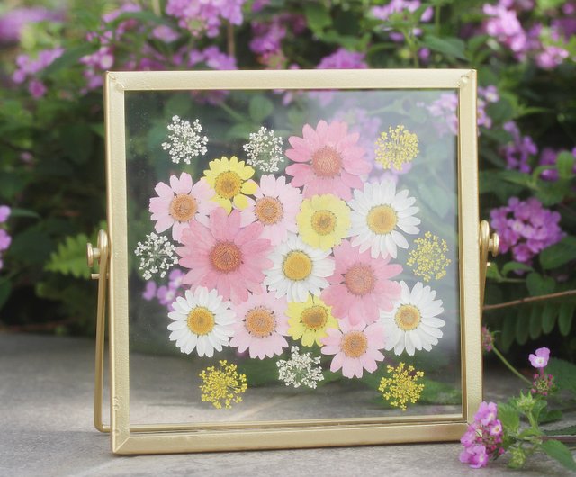 Lilac Chrysanthemum Pressed Real Dried Flowers