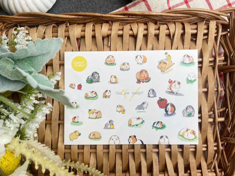 Lovely Planet guinea pig postcardsl Very cute collection - การ์ด/โปสการ์ด - กระดาษ ขาว