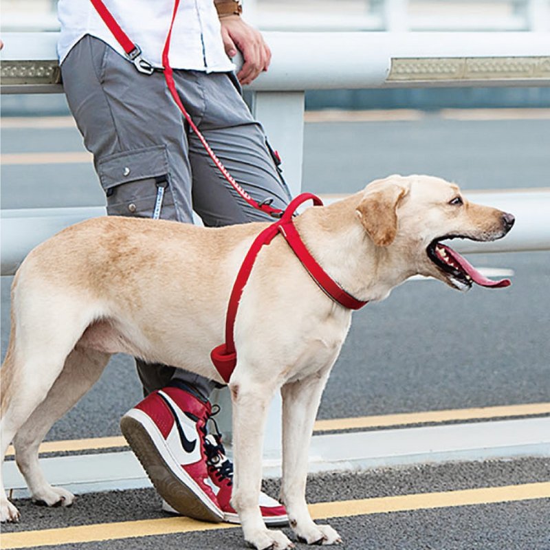 【DOGNESS多尼斯】反光系列寵物胸背帶(5色) - 其他 - 其他材質 多色