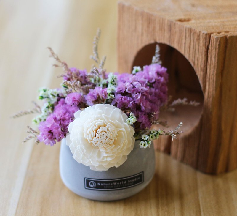 Cement Pot Sola Diffuser Small Table Flower - ตกแต่งต้นไม้ - พืช/ดอกไม้ สีม่วง